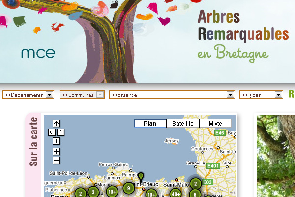 Arbres Remarquables en Bretagne